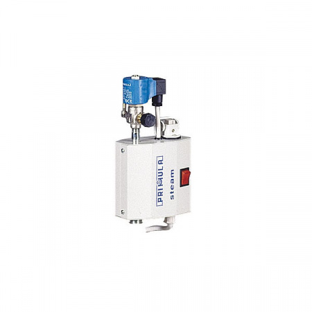 Primula Steam Condensor K/6/2