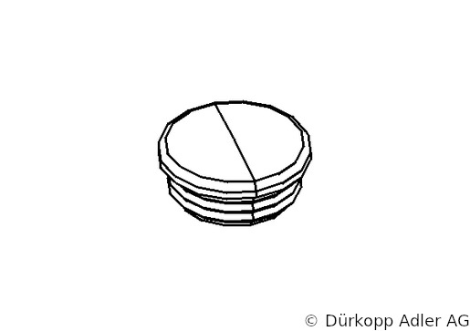 0556 001570 — plug