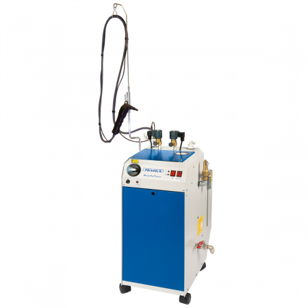 Primula Steamy